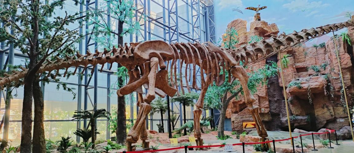 南京大学构造地质学考博难度如何?-图2 南京大学构造地质学考博难度如何?-图2