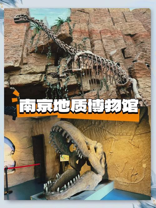 南京大学构造地质学考博难度如何?-图1 南京大学构造地质学考博难度如何?-图1