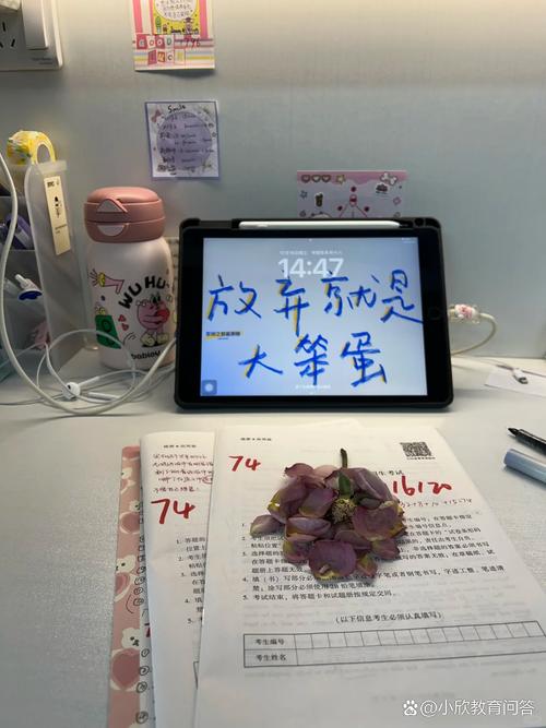 考研204英语二参考书-图2 考研204英语二参考书-图2