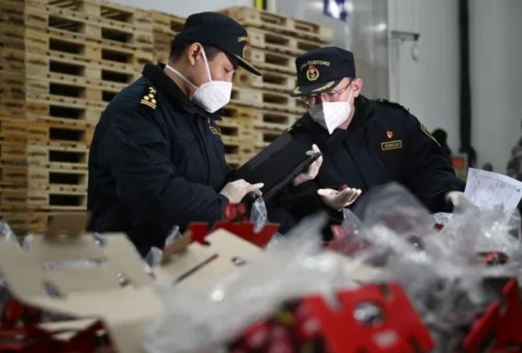 天津海关2025国考-图2 天津海关2025国考-图2