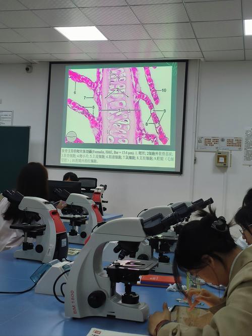 复旦大学化学系考博专业有哪些方向？-图2
