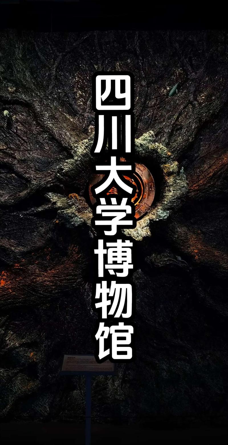 四川大学 历史学 考博-图3