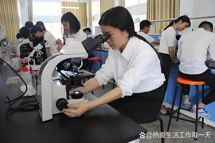 中科院金属所考博专业课如何高效备考?-图3 中科院金属所考博专业课如何高效备考?-图3