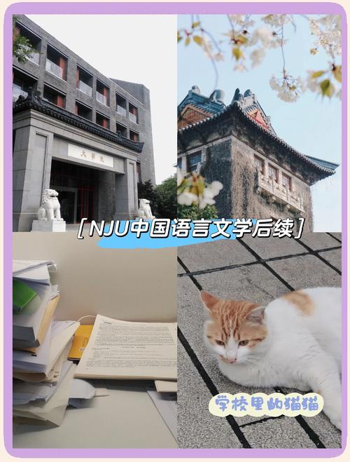 南京大学现当代文学考研难不难？-图3