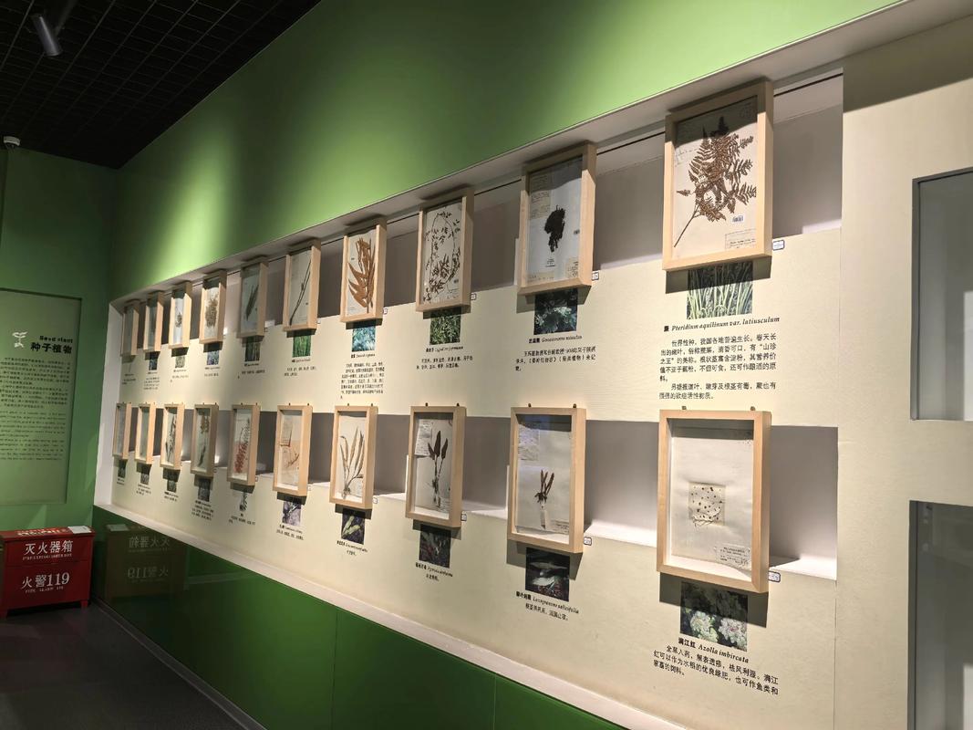 西北大学考古考博论坛有何新动态？-图2