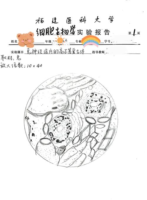 中南大学细胞生物学考博如何高效备考？-图3