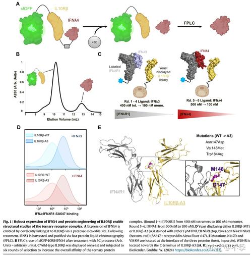 山东大学考博细胞和分子-图2 山东大学考博细胞和分子-图2