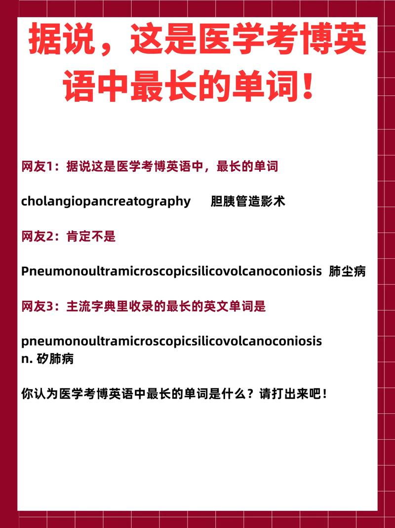 医学考博英语词汇例句如何高效掌握？-图3