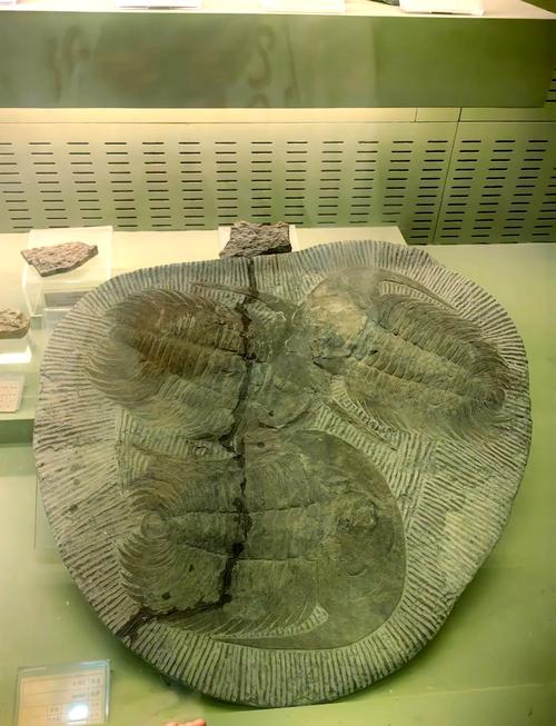 南京大学工程地质考博如何准备？-图3