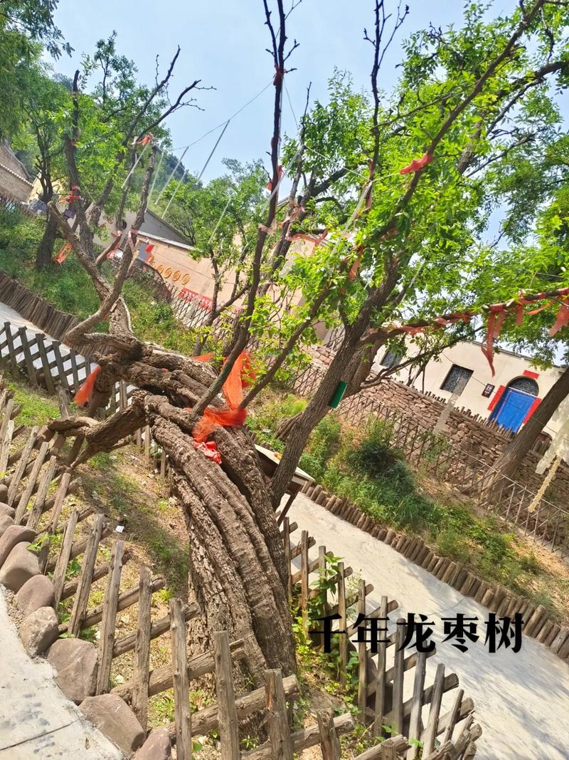 2011国考乡村文化现状如何?-图3 2011国考乡村文化现状如何?-图3