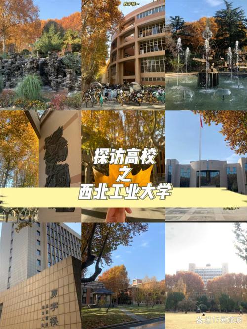 西工大考博组合数学难度究竟有多大？历年真题重点考什么？-图1