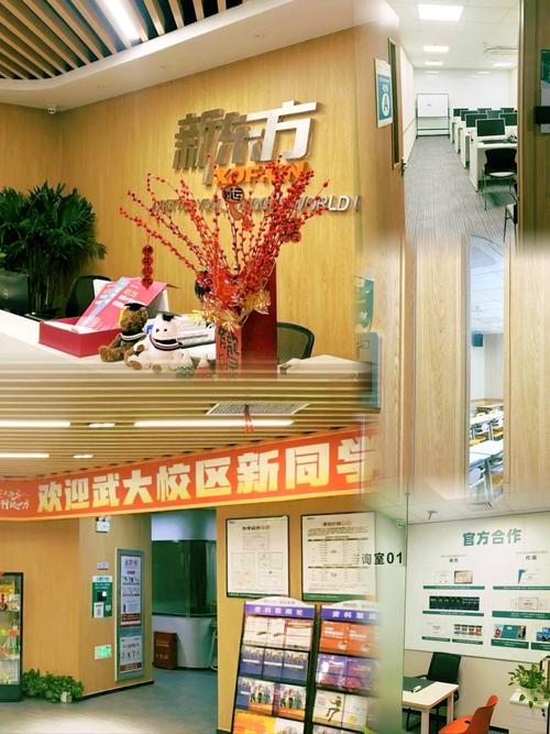 新东方武大考博英语有何备考秘诀？-图3