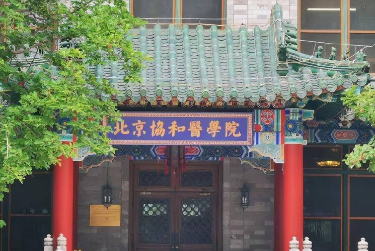 北京协和医学院考博论坛有何干货？-图3