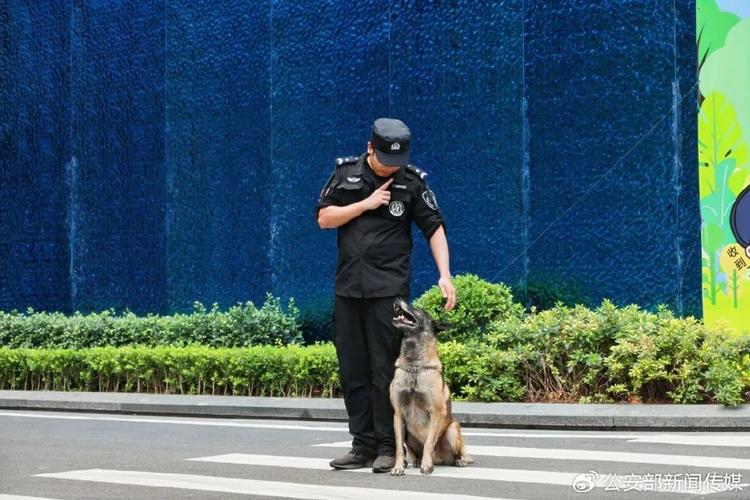 2025国考青岛公安招录有何新变化？-图1