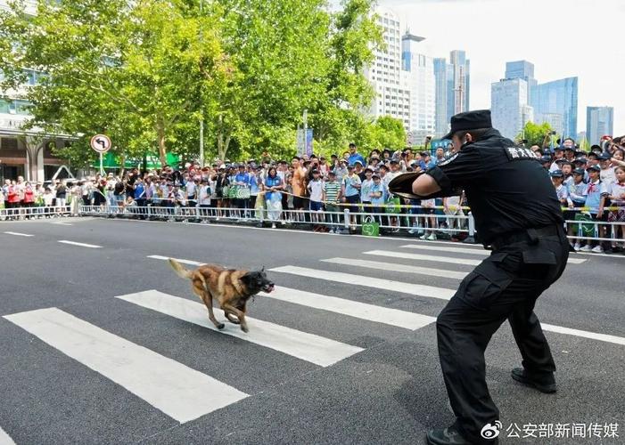 2025国考青岛公安招录有何新变化？-图2