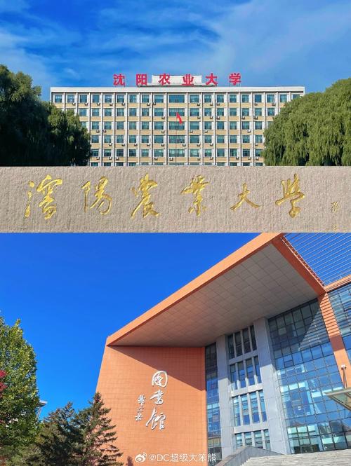 沈阳农大考博论坛有何最新动态?-图1 沈阳农大考博论坛有何最新动态?-图1