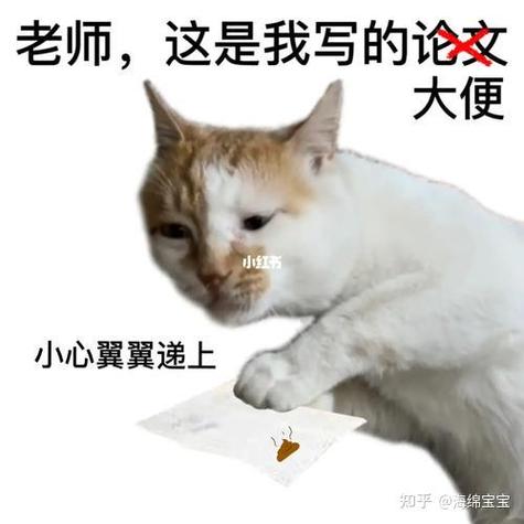 武大文学院考博复试口语考什么？-图2