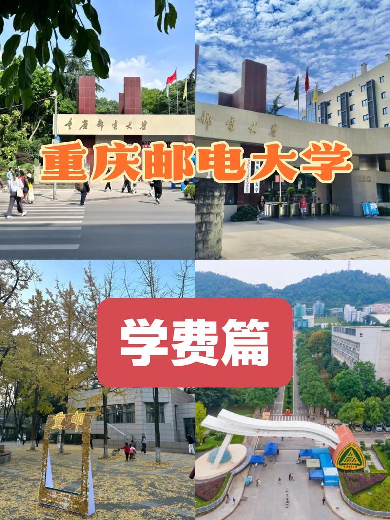 重庆邮电大学计科考研难不难？-图1