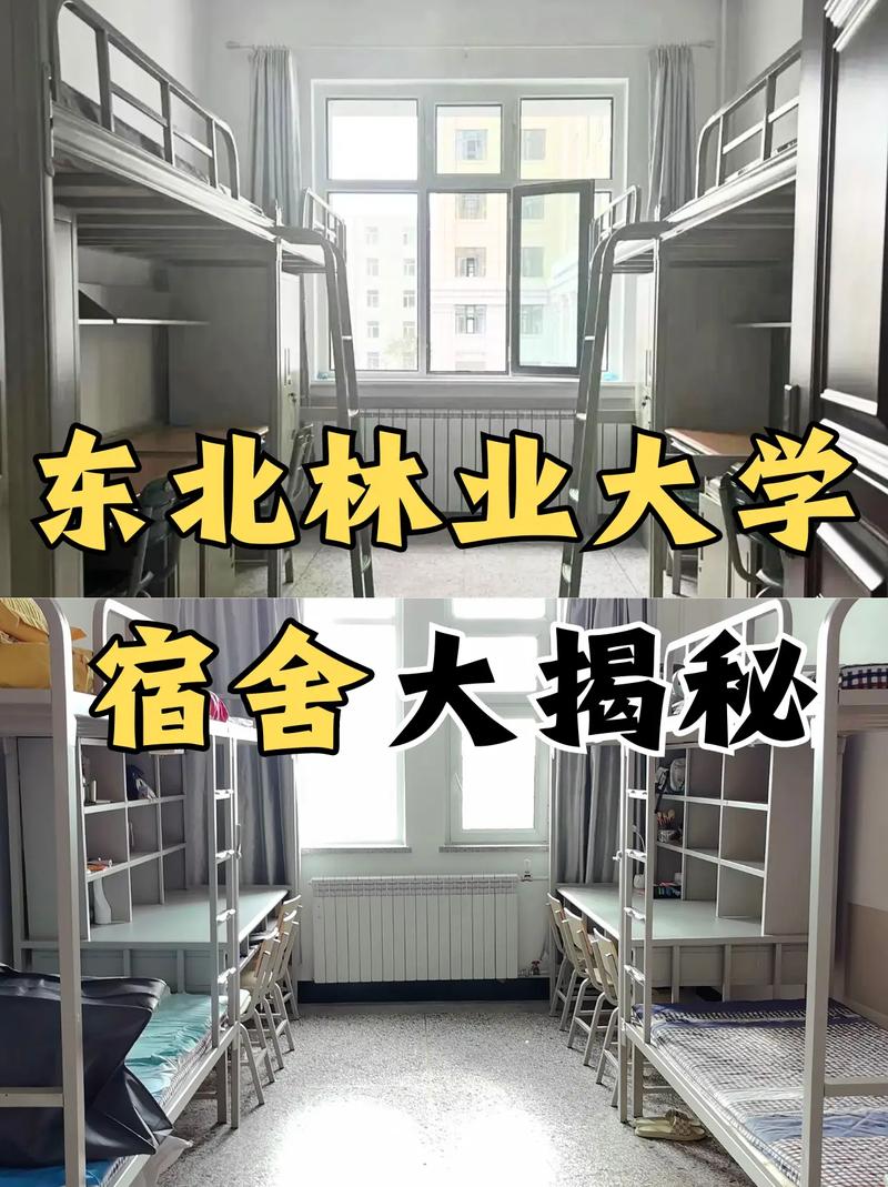 东北林业大学视传考研-图1