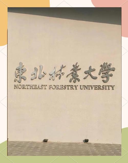 东北林业大学视传考研-图2