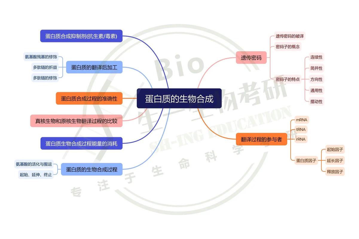 暨南大学生化考研重点有哪些？-图1