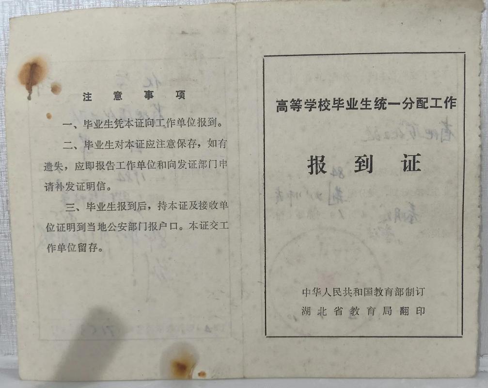 二战考研需要报道证吗？-图2