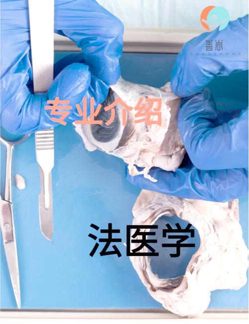 中大法医考研难吗？怎么准备？-图2