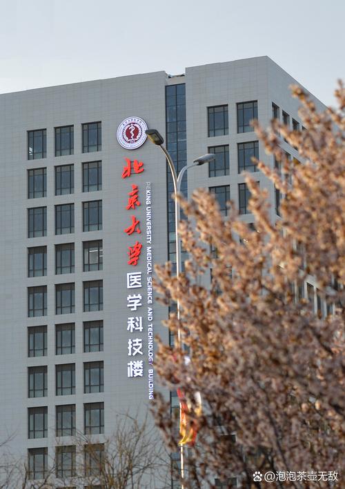 北大医学部药学考博难度如何？-图1