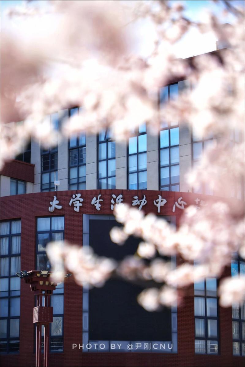 首都师范大学考博论坛有何最新动态？-图1