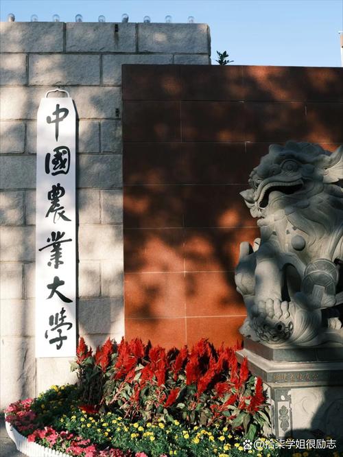 中国农大生物学院考博流程及条件是什么？-图3