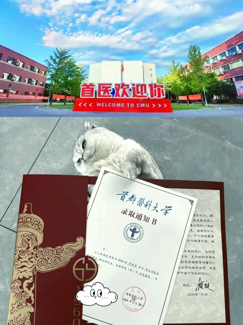 首都医科大学影像考研难度如何?-图2 首都医科大学影像考研难度如何?-图2