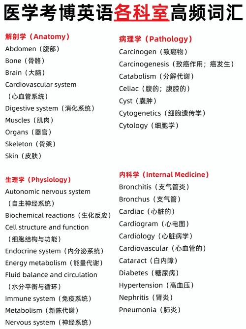 2005医学英语考博答案哪里找?-图1 2005医学英语考博答案哪里找?-图1