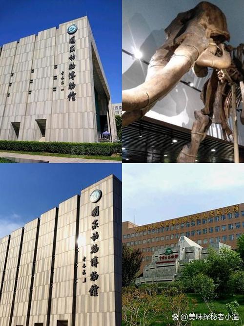 北京考博哪所院校最容易上岸？-图3