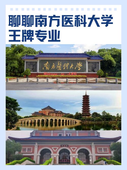 南方医科大学考博英语难度如何？-图2