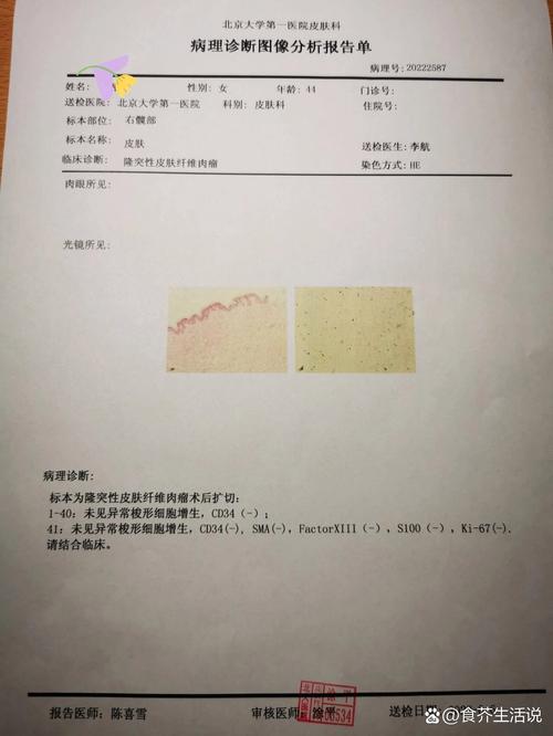 河北中医学院考博病理-图1