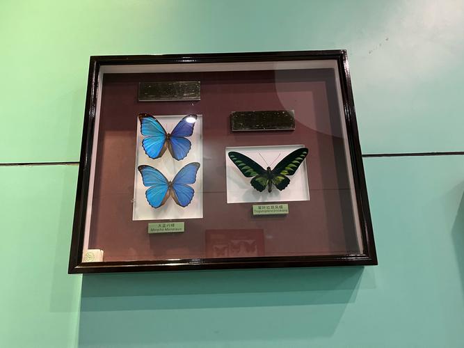 上海社会科学院考博难不难？如何准备？-图3