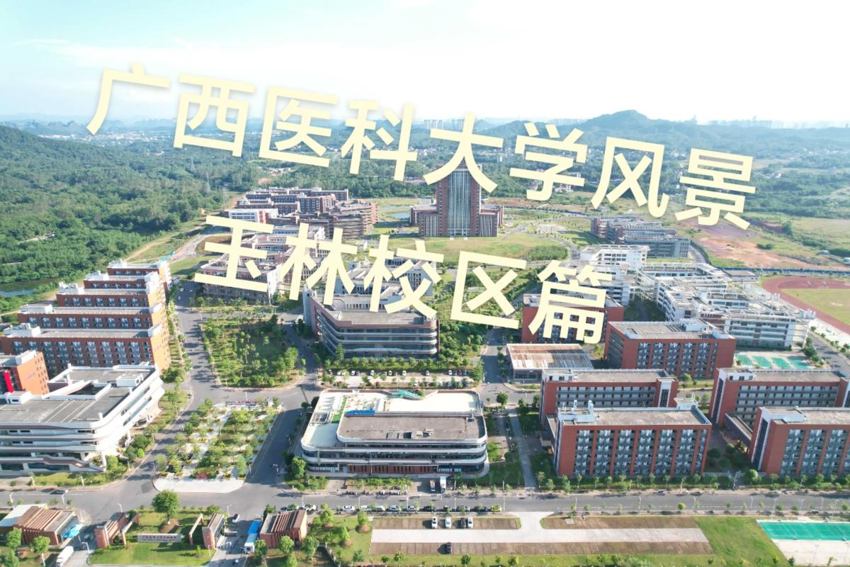 广西医科大学考博招生何时开始报名？-图3