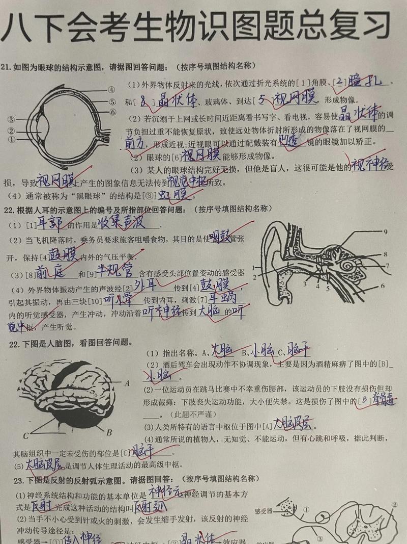 中山大学微生物考博题有何特点？-图2