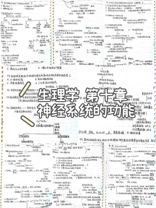 首医考博生理学参考书有哪些推荐?-图2 首医考博生理学参考书有哪些推荐?-图2