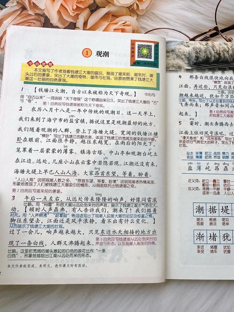 2025国考解析课重点在哪？-图2