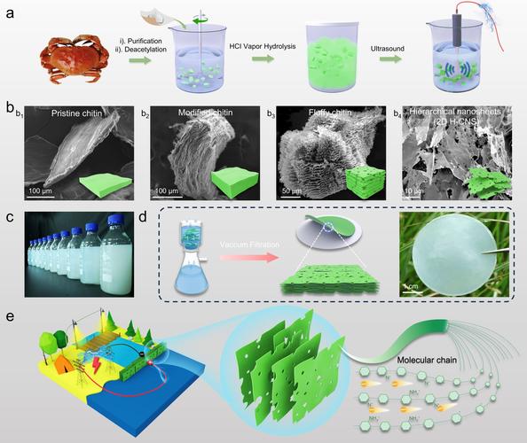 生物质能源与材料考研,方向与难度如何?-图1 生物质能源与材料考研,方向与难度如何?-图1