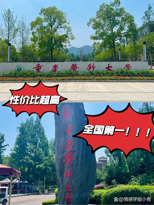 重庆医科大学考博普外，如何准备更高效？-图1