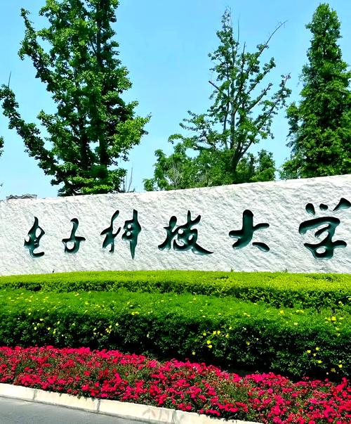 电子科技大学通信考博-图1