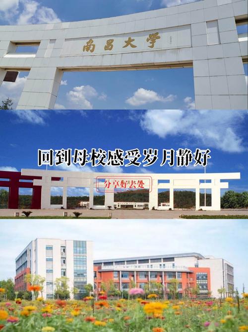 南昌大学考研浙江大学,难度如何?-图1 南昌大学考研浙江大学,难度如何?-图1