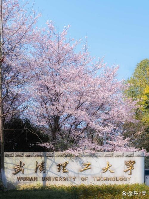 武汉理工考博外语有何要求？-图1