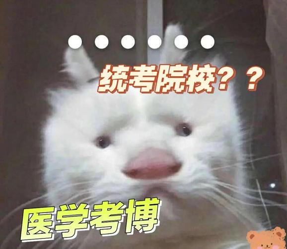 中文系双非研究生考博,机会有多大?-图2 中文系双非研究生考博,机会有多大?-图2