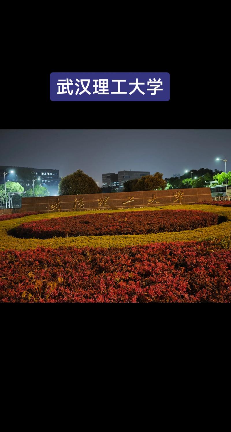 武汉理工机械考博难不难？-图1