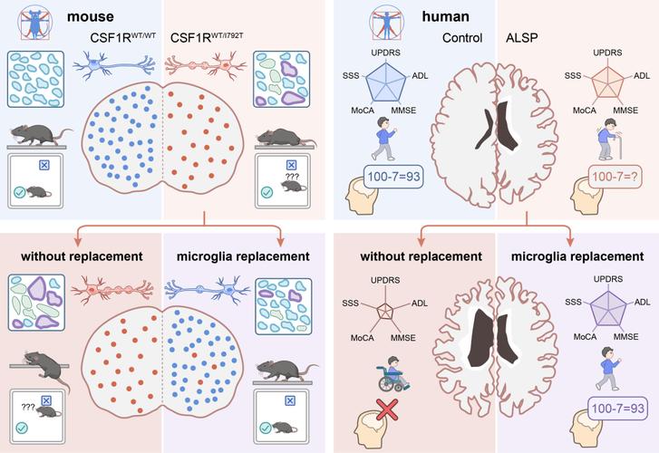 上海交大神经病学考博难度如何？-图3
