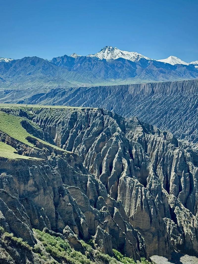 新疆大学自然地理考博如何备考?-图1 新疆大学自然地理考博如何备考?-图1