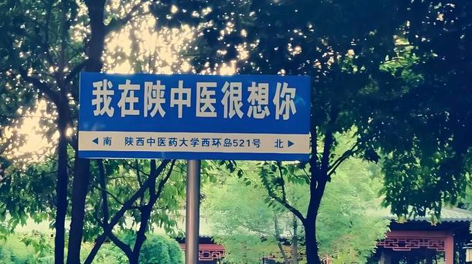 陕西中医药大学考研群-图1